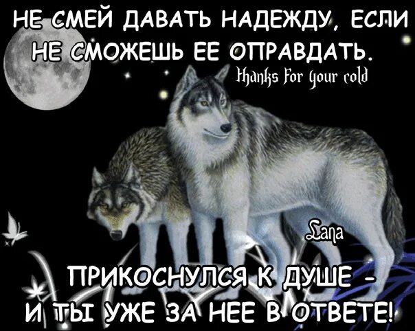 Мужчина дает надежду. Не смей давать надежду если. Волк и его любимые девочки. Не смей давать надежду если не сможешь ее. Не давай надежду если.