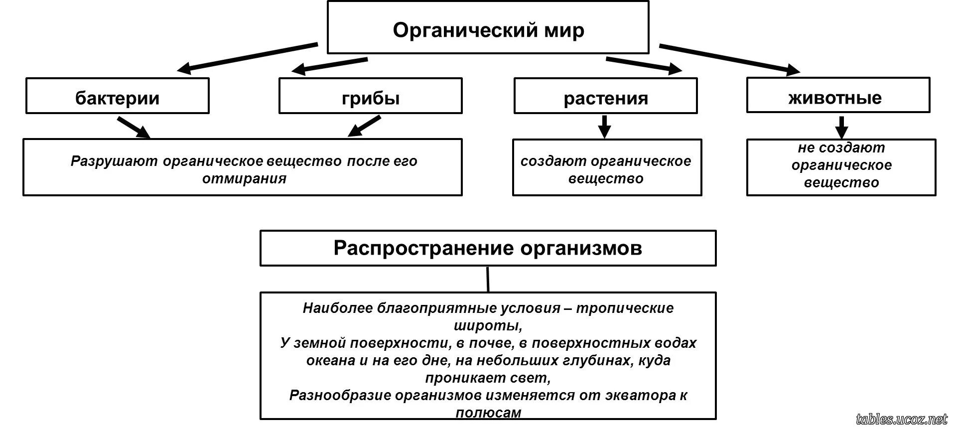 Распространение животных организмов. Распространение живых организмов на земле 5 класс. Распределение живых организмов. Распространение организмов. Разнообразие и распространение организмов на земле.