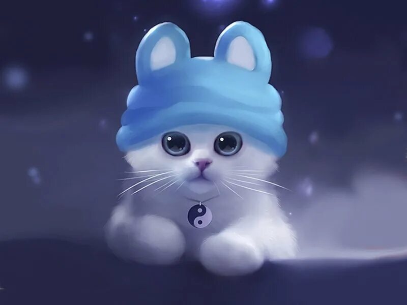 Включи анимацию кота. Котик в голубой шапке. Живые котята. Заставка на телефон котики живые. Котик в синей шапке.