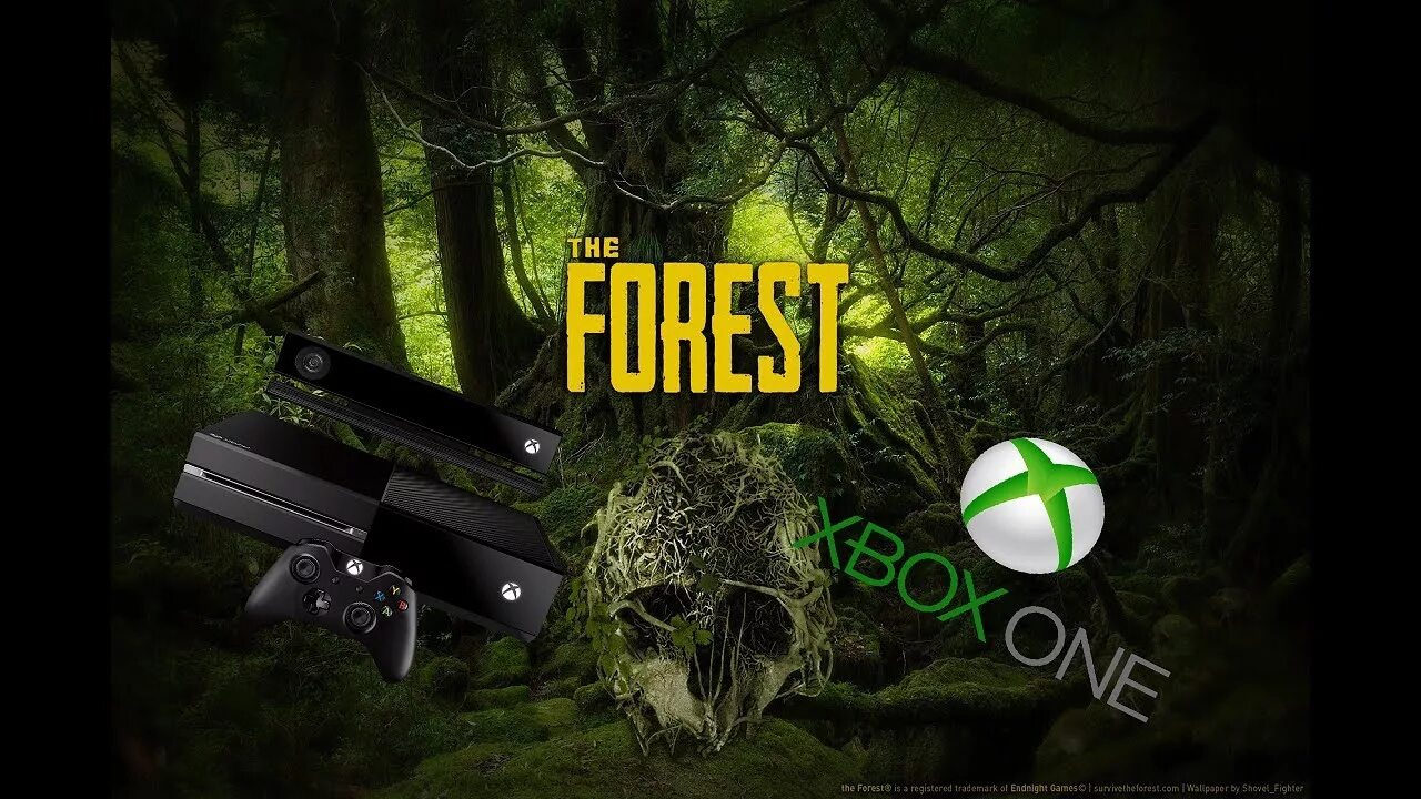 Когда будет скидка на the forest. Форест на икс бокс 360. диск the forest на xbox 360. the forest ps4 диск. the forest на пс4.