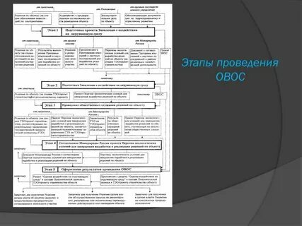 Проведение оценки воздействия на окружающую среду