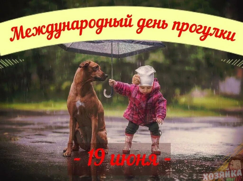 Прогулка 2025. Прогулка 2025