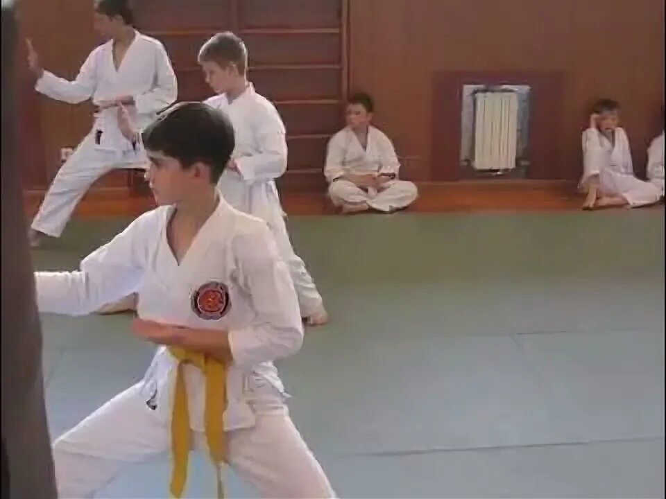 Карате экзамены. Экзамен на красный пояс по каратэ шотокан. Оранжевый пояс карате. Оранжевый пояс по каратэ киокушинкай. Кихон на оранжевый пояс.