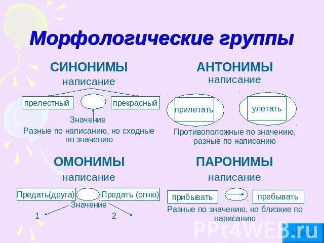 Морфологические группы слов