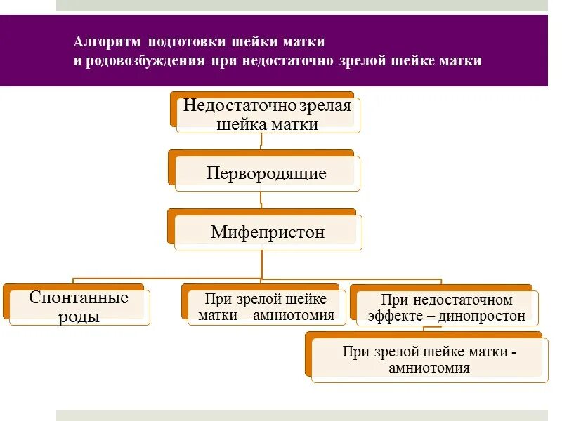 Алгоритм по родам. Методы подготовки шейки матки к родам. Подготовка шейки матки к родам клинические рекомендации. Современные методы подготовки шейки матки к родам. Методы подготовки шейки матки к родам и Родовозбуждение..