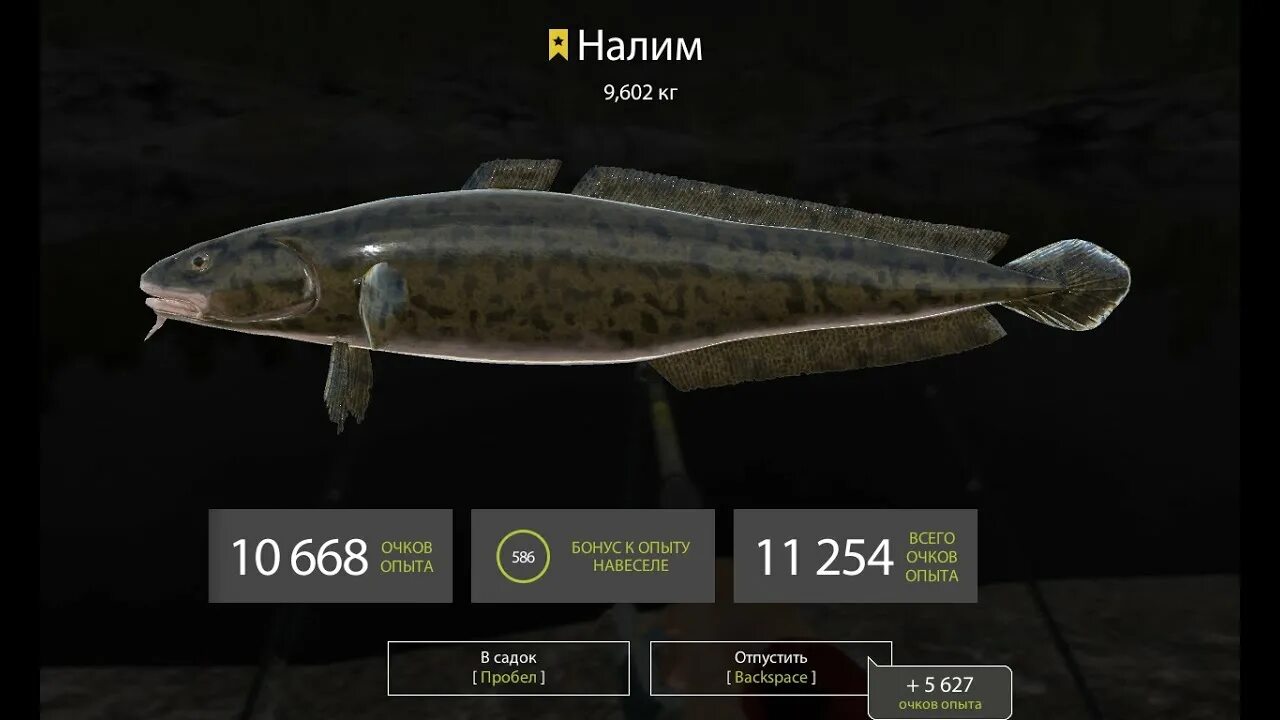 На что ловить налима в реальной рыбалке форум игры Русская рыбалка