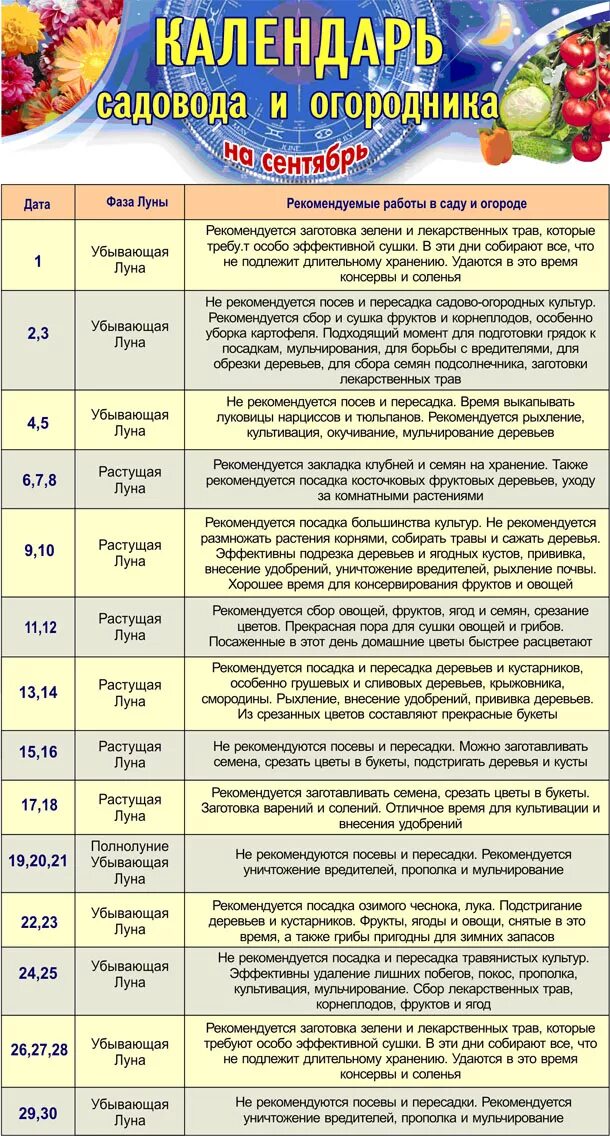 Календарь садовода. График работ в саду и огороде по месяцам. Работы в саду и огороде по месяцам таблица. Календарь работ садовода