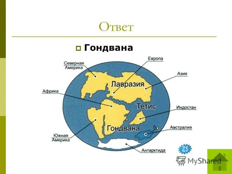 лавразия и гондвана. древние материки пангея лавразия гондвана. древний континент гондвана. пангея гондвана лавразия. материк пангея лавразия гондвана.