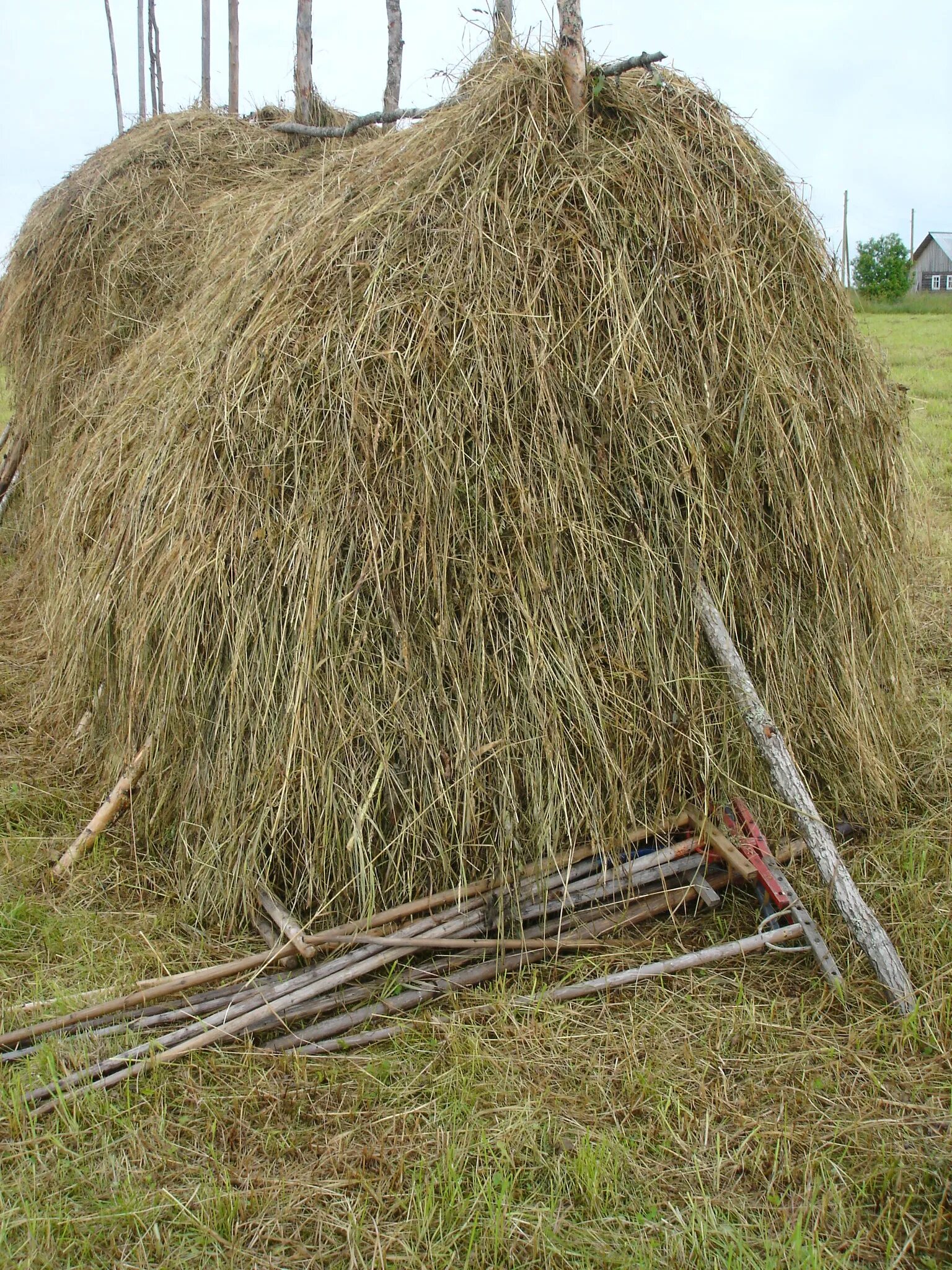 Что такое стог Скирда зарод и копна. Сенная копна. Скирды сена. Стог сена. Хорошо высушенное сено пора складывать в стог