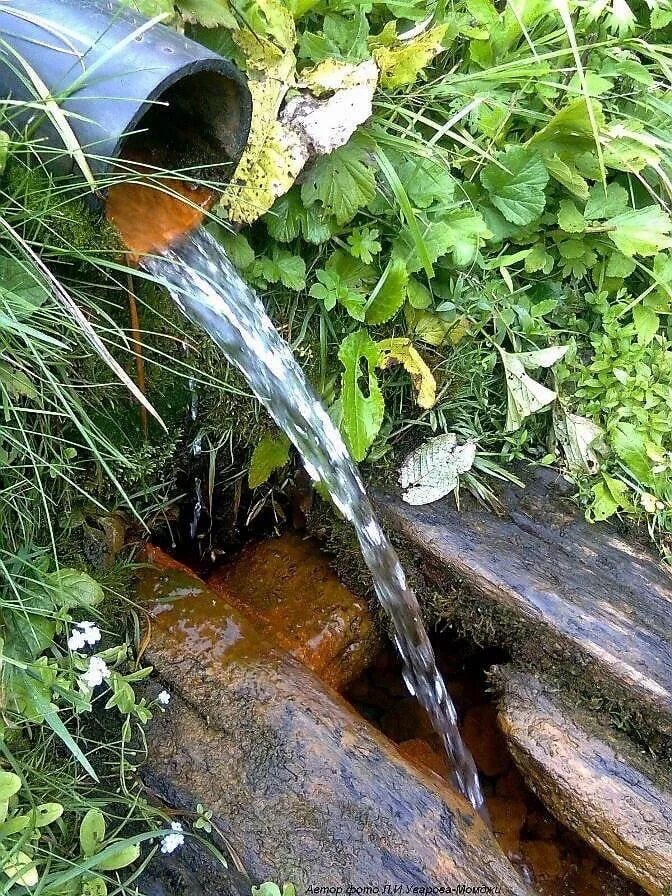 Откуда вода в родниках. Родникик. Родник в селе. Родниковая вода. Родниковая вода в лесу.