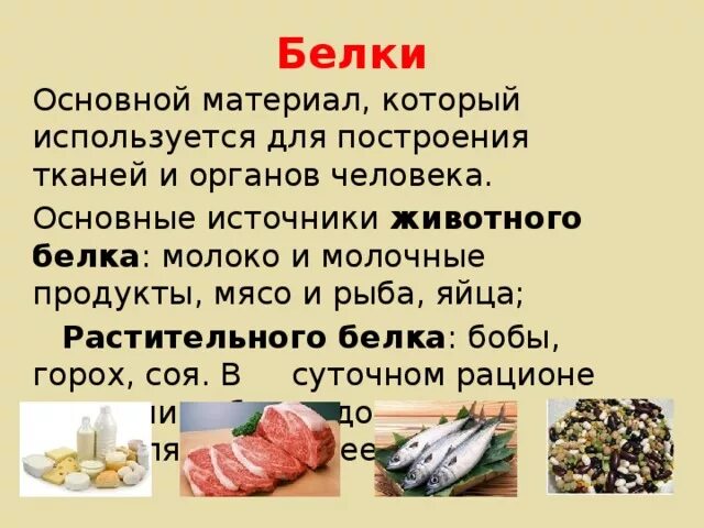 Основным источником белка является. Источники белка в продуктах. Основные пищевые источники белка. Основные источники белка в пищевых продуктах. Продукты источникибнлка.