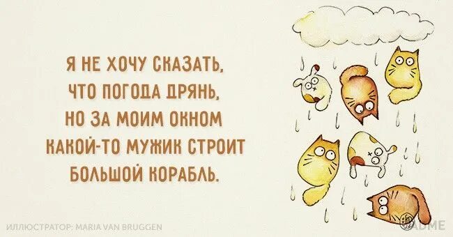 Так много хочется тебе сказать. Я не то хочу сказать. Цитаты про погоду прикольные. Мне так много хочется тебе сказать. Я не то хочу сказать.