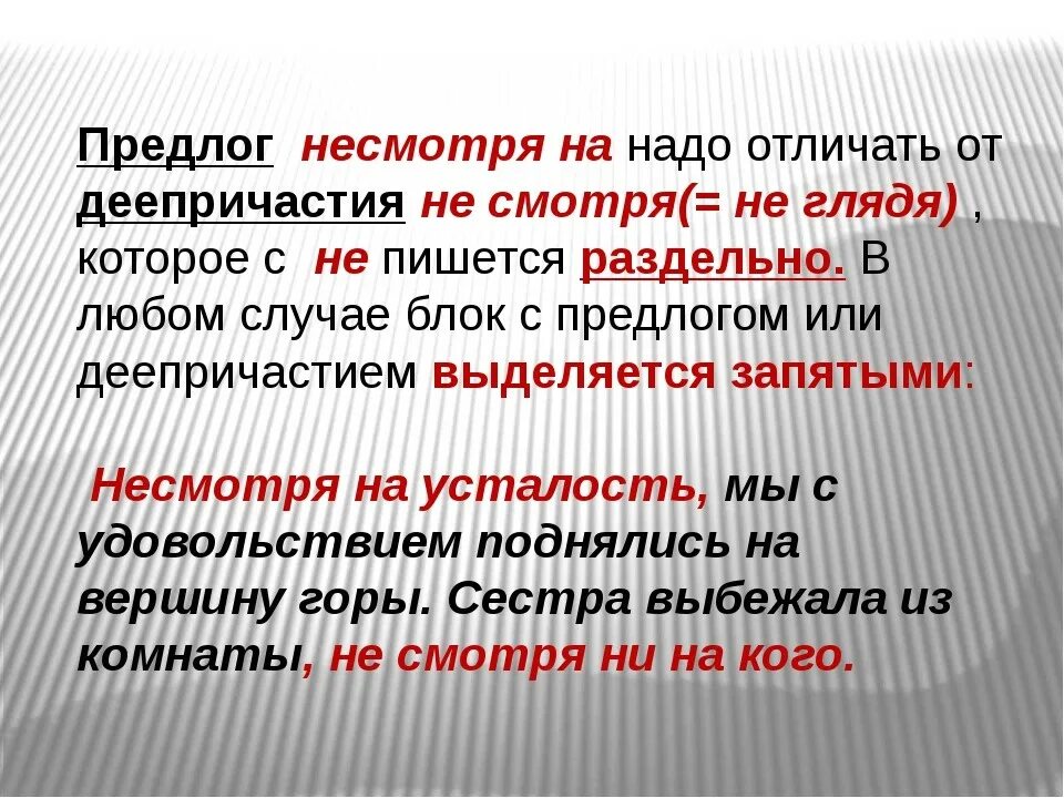 Несмотря на различие. Несмотря на. Не смотря или несмотря. Несмотря на предлог. Не смотря несмотря правописание.