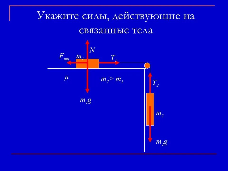 Направление сил действующих на тело. Укажите силы действующие на тело. Укажите все силы действующие на тело. Указать силы действующие на тело. Физика силы действующие на тело.