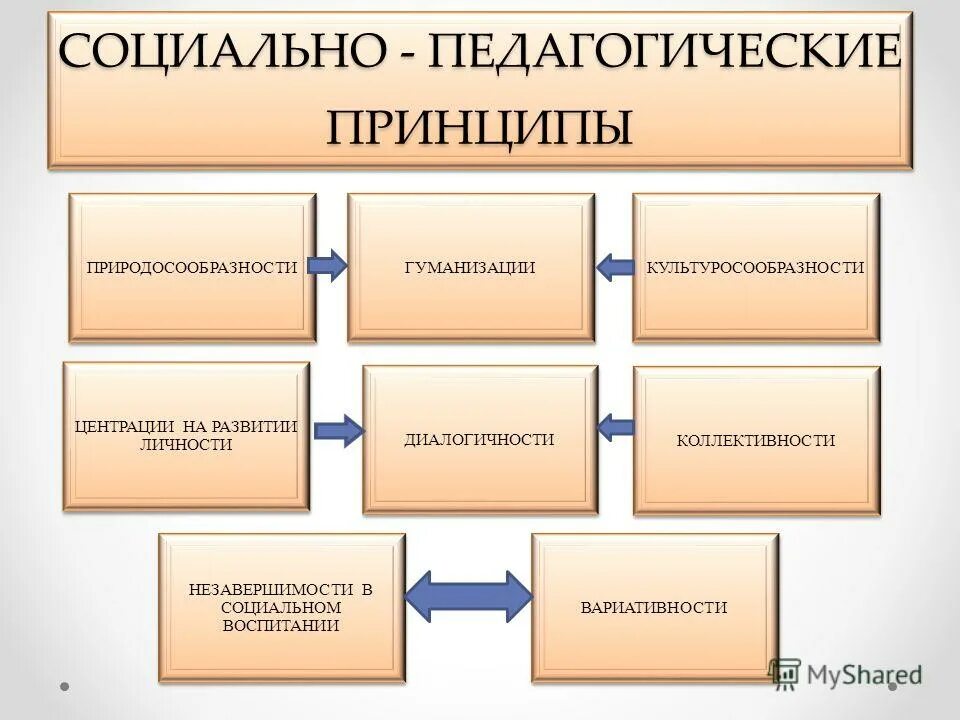 Курсовая работа социального педагога. Принципы соц педагогики. Основные принципы пед работы. Социально-педагогические принципы. Принципы работы социального педагога.