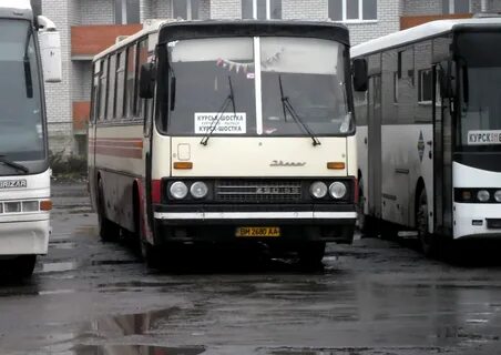 Автобус рыльск курск