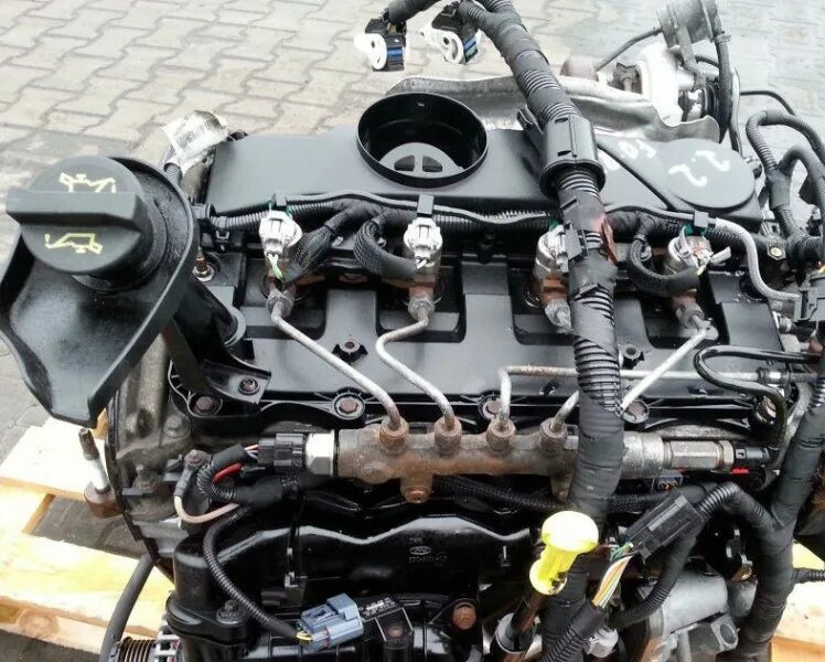 двигатель форд транзит 2. 2 дизель двигатель вид спереди. двигатель форд торнео кастом 2. двигатель форд транзит abfa. 2 дизель.