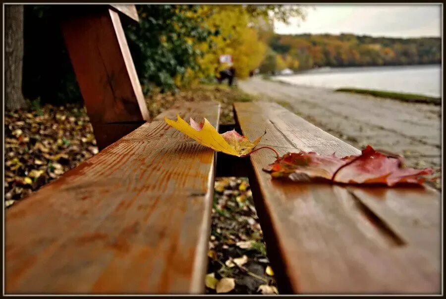 Осенняя печаль. Осень грусть. Осеннее одиночество. Тоскливая осень.