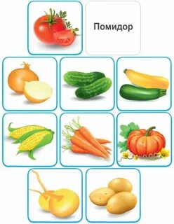 Форма овощей для детей