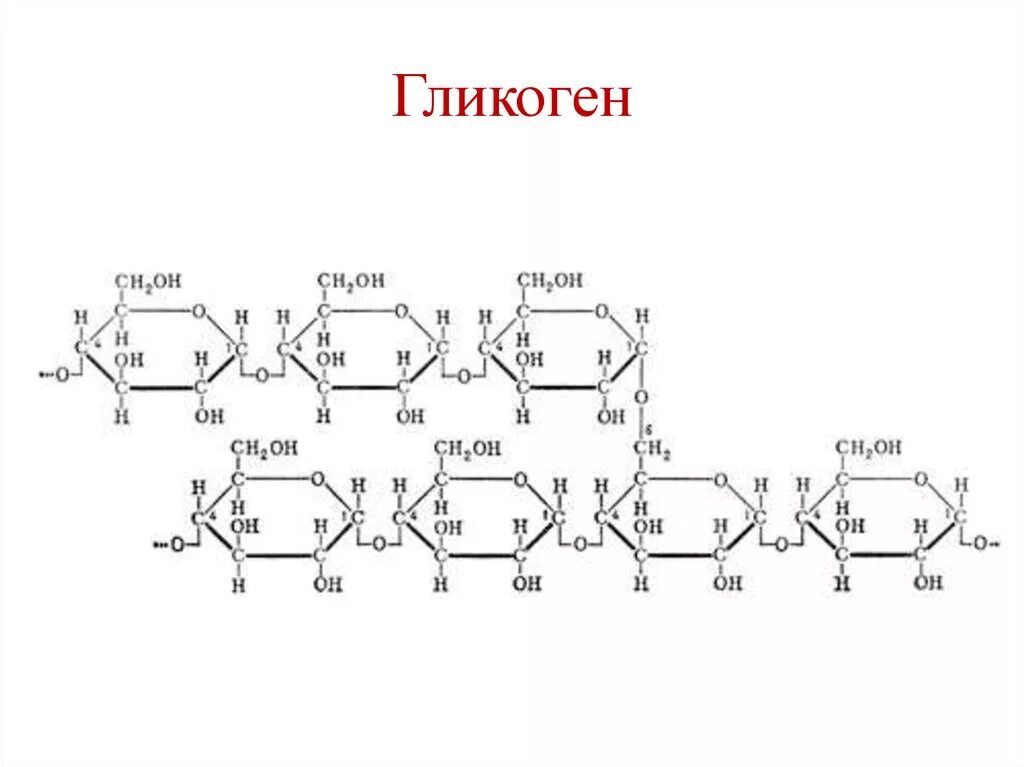 Гликоген формула и структура. Гликоген строение молекулы. Строение гликогена формула. Гликоген структурная формула. Глюкоген