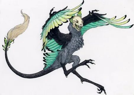 Dragon bird