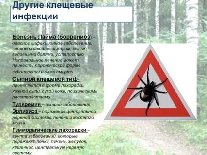 Клещевые инфекции