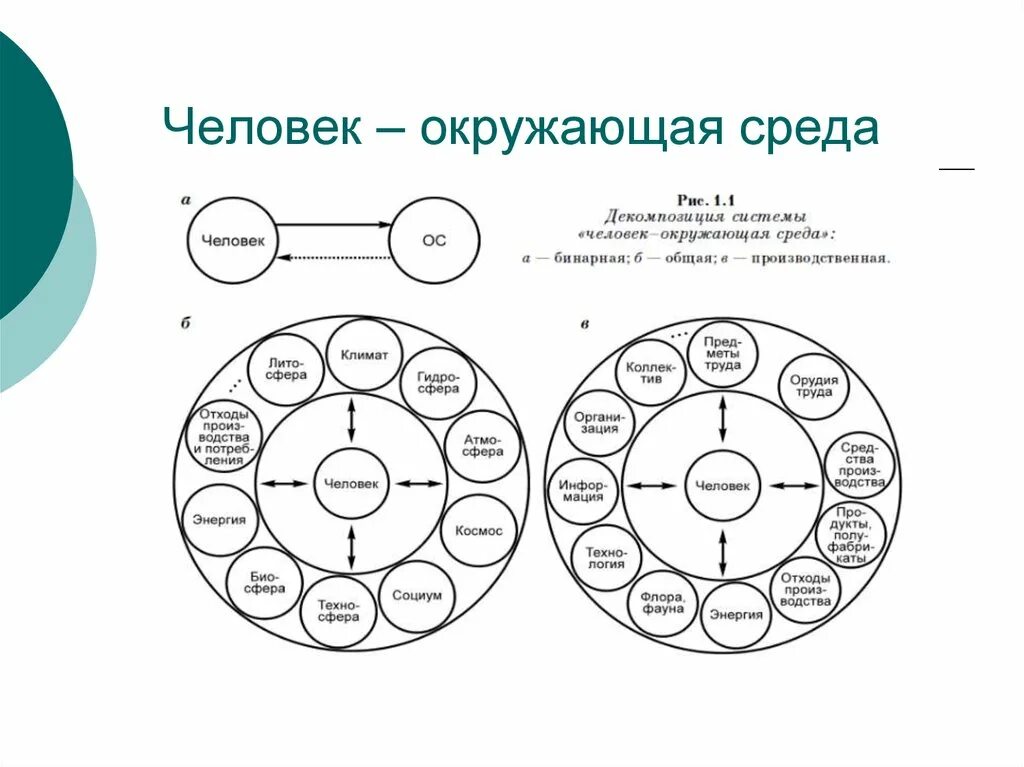 Система человек окружающая среда. Система человек окружающая природная среда. Схема человек окружающая среда. Среды окружающие человека.