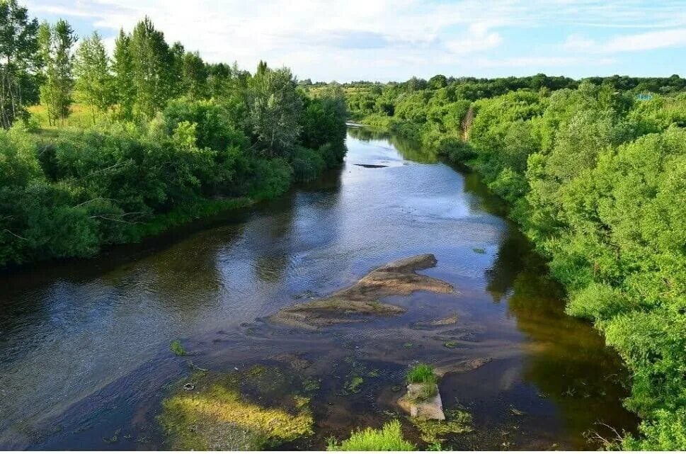 Алей 2. Река алей в Рубцовске. Река алей Алтайский край. Исток реки алей Алтайский край. Алей (река) реки Алтайского края.