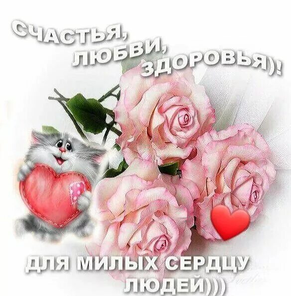Я вас люблю картинки. Я вас люблю открытка. Пожелания друзьям. Поздравление с добрым вечером. Открытки хорошего дня с детьми.