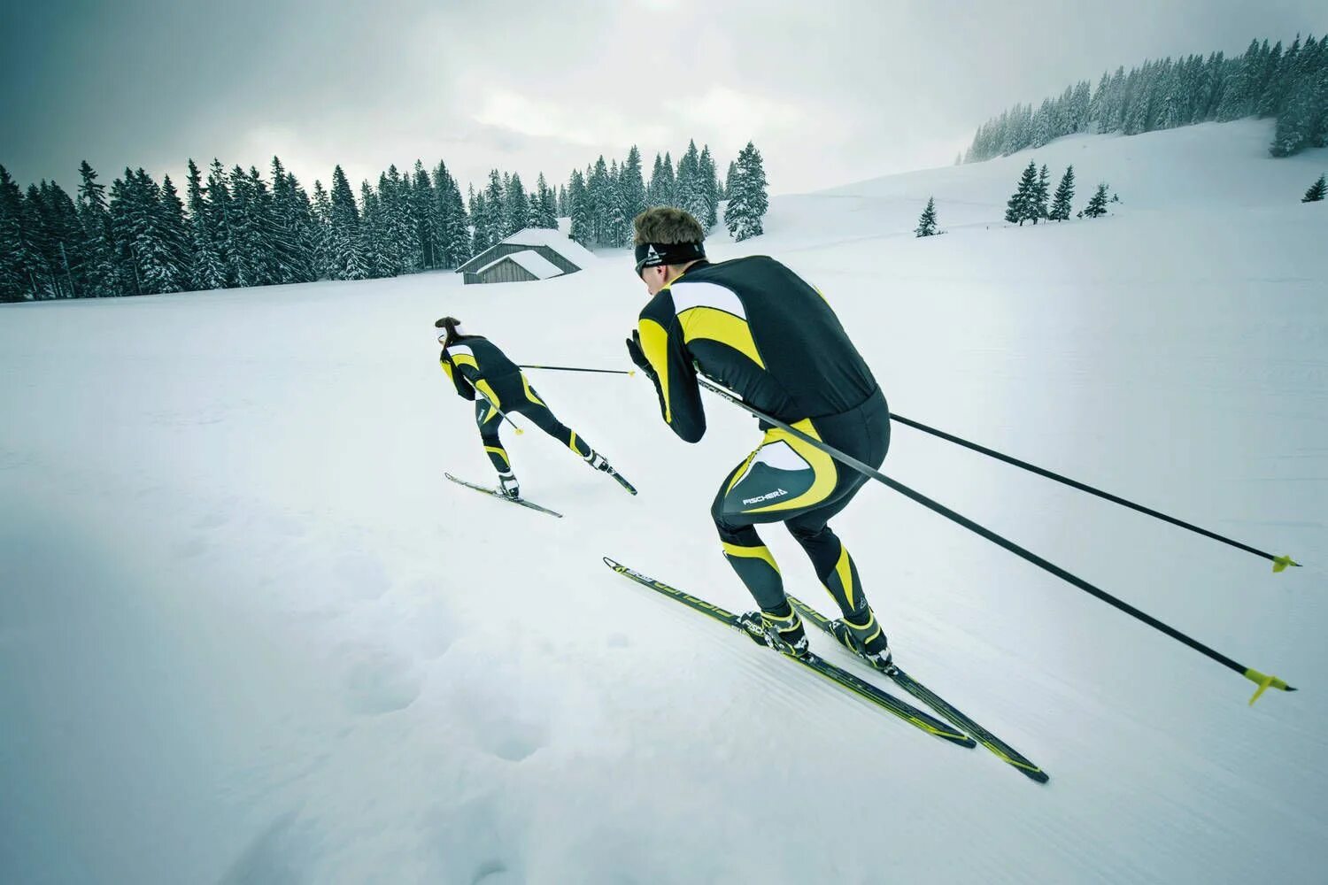 Лыжи обзор. Лыжи fischer. nord ski лыжи беговые. лыжник фишер. лыжи сумит фишер.