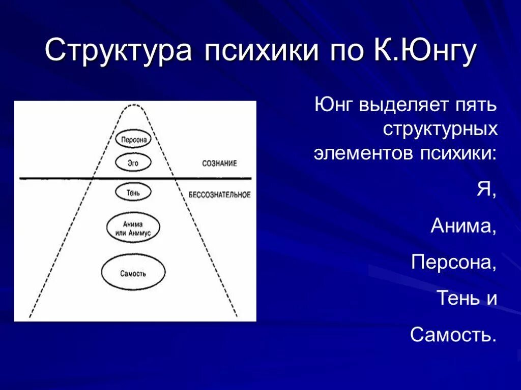 Юнг выделил. Структура личности по Юнгу. Аналитическая психология к.г. Юнга. Теория личности Юнга персона тень Самость. Структура личности Юнг Самость. Структура сознания Юнг.