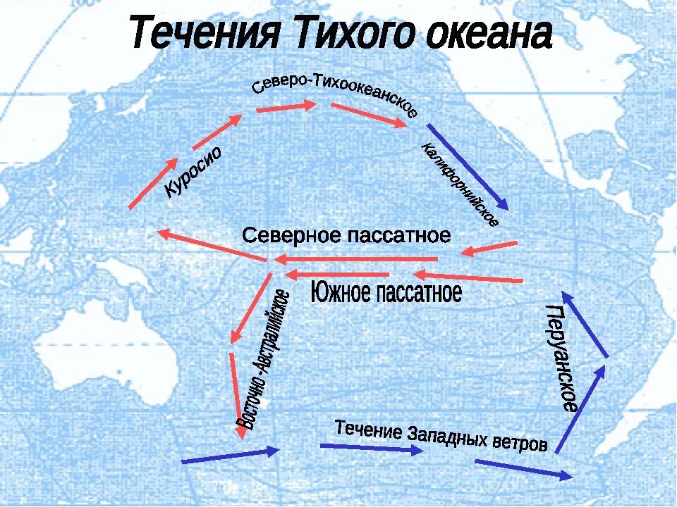 Западные берега теплые и холодные течения. Тёплые и холодные течения на карте мирового океана 6 класс. Схема поверхностных течений мирового океана. Течения Тихого океана 7 класс. Тёплые течения мирового океана на карте.