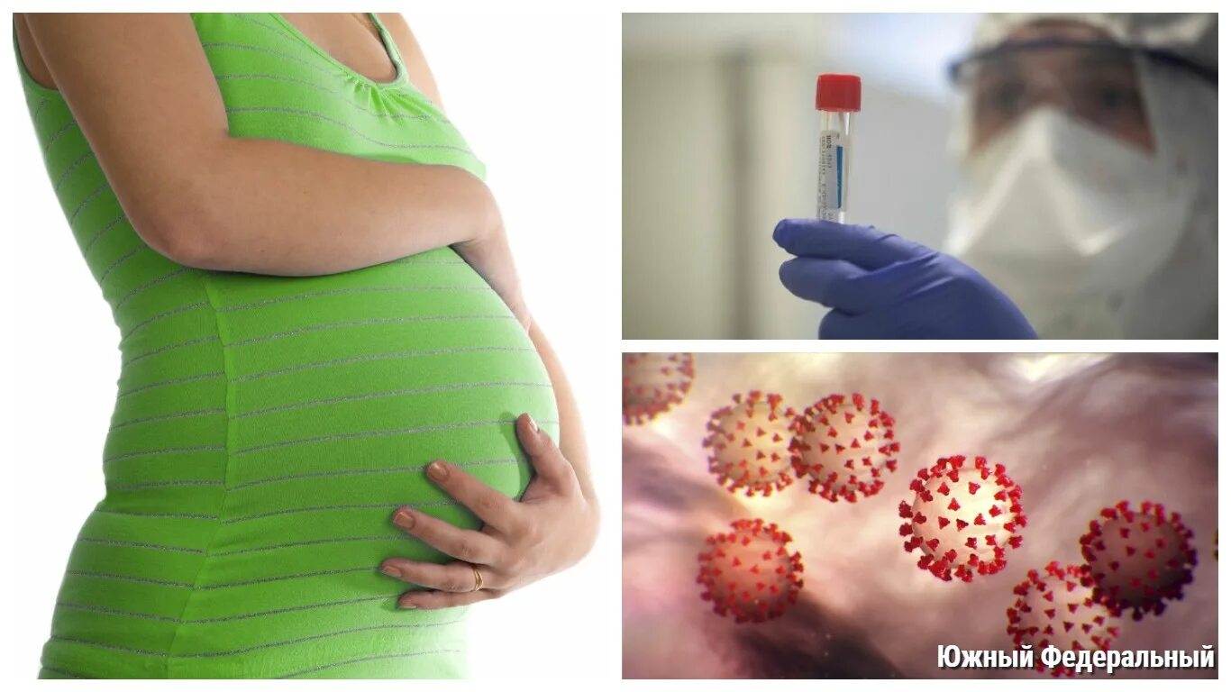 Вирусные заболевания беременных. Вакцинация и беременность. Инфекции при беременности.