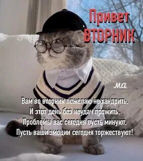 Привет вторник