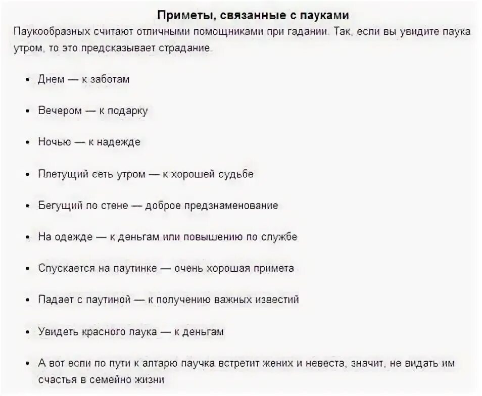 Приметы про пауков. Паук примета. Паук спускается вниз. Приметы про пауков. Пауки в доме приметы.