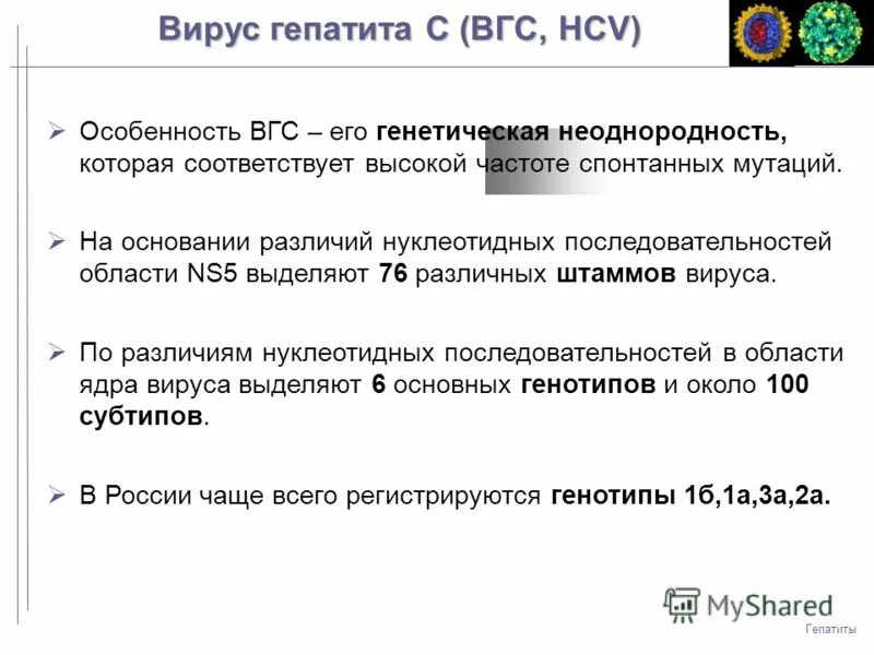 Гепатит у известных. Инфекция вирусного гепатита симптомы. Гепатит у известных. Вирусный гепатит симптомы у детей. Гепатит у известных.