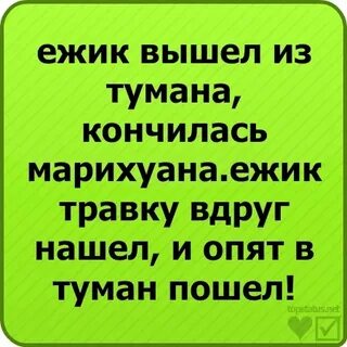 Песня маленький ежик по травке
