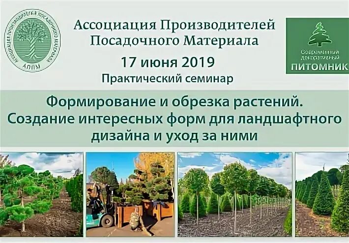 Питомник грин плант