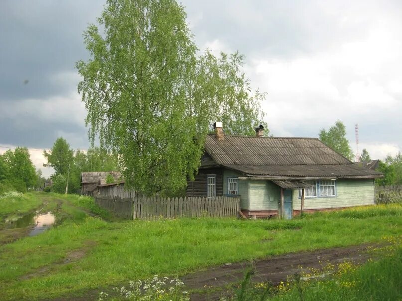Погода конево костромской