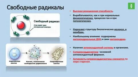 Защита от свободных радикалов