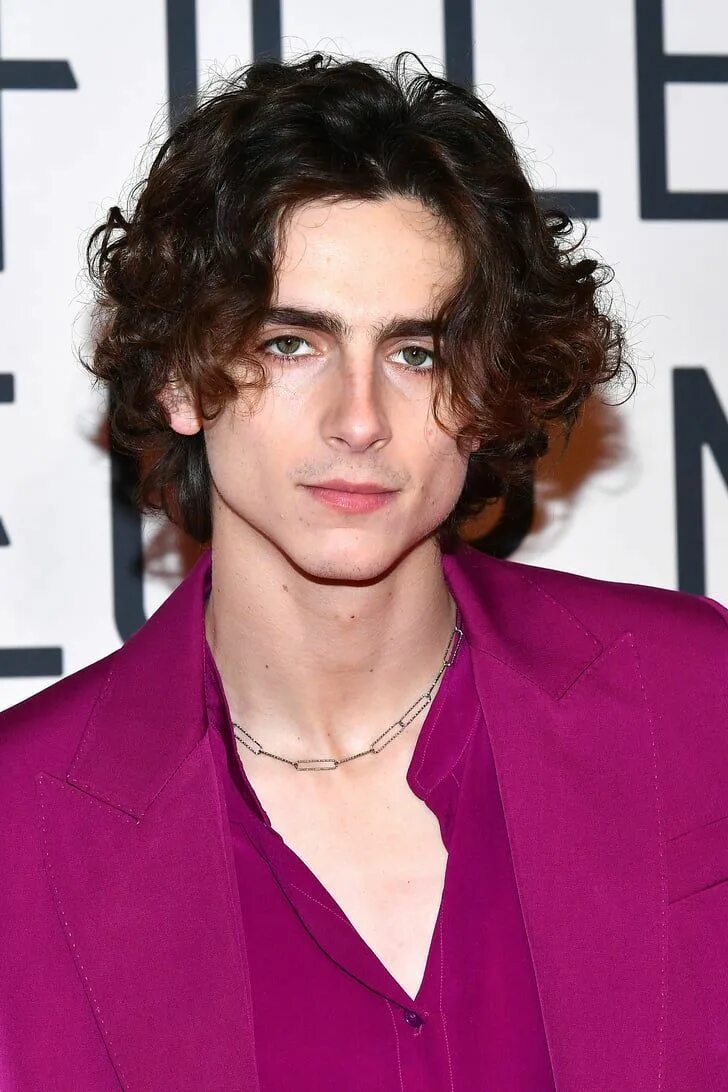 Регулус арктурус блэк тимоти шаламе. Шаломе актер. Тимоти шаламе 2021. Тимоти шаламе. Тимоти чаламет регулус блэк.