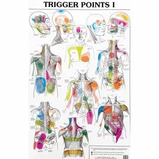Trigger body