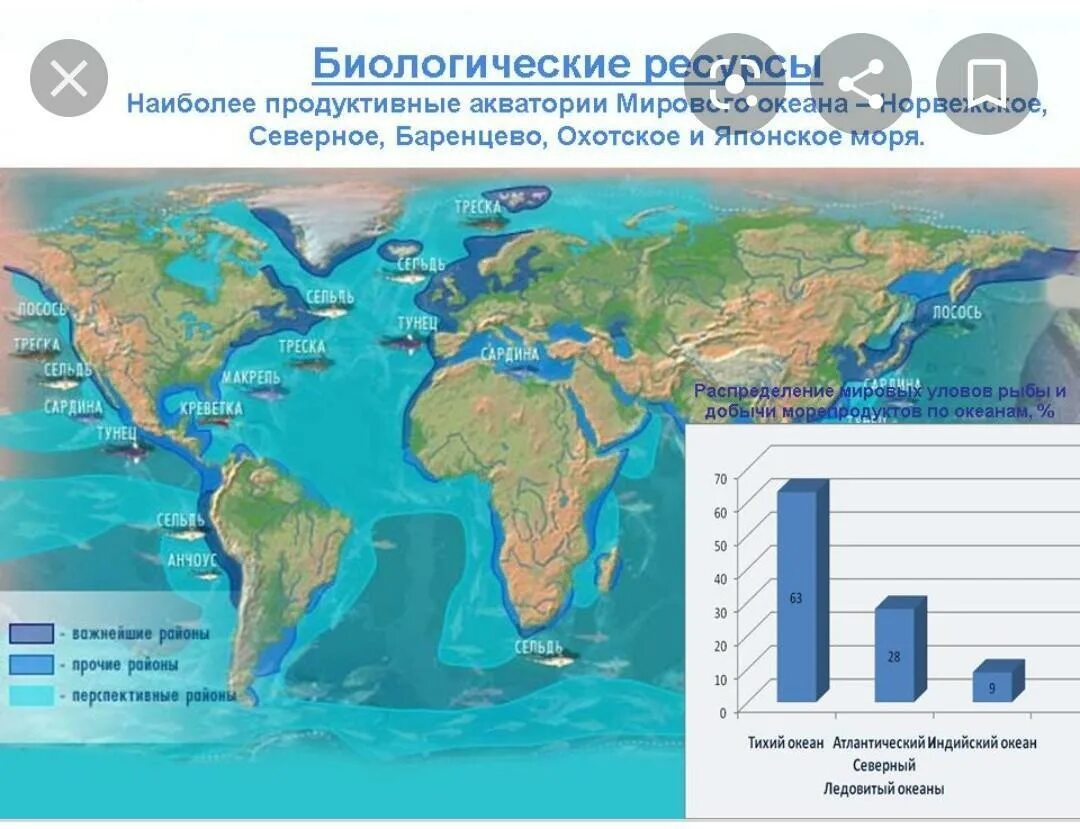 Самые продуктивные моря. Самые продуктивные моря мирового океана. Самые продуктивные моря. Берингово море. Продуктивные акватории это определение.
