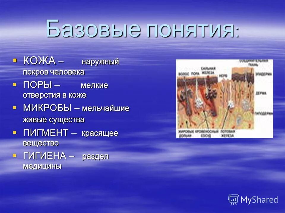 функции кожного покрова человека. болезнь терминология. доклад про кожу. конспект по биологии 8 класс кожа функции. кожа это одежда нашего тела сообщение.
