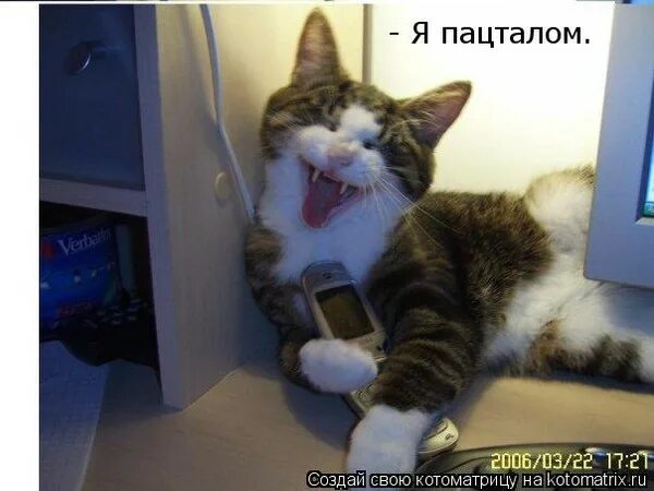 Теперь я без хохота вспомнить не могу