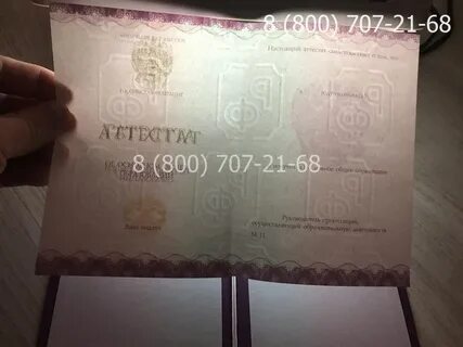 Номер аттестата 2024 9 класс