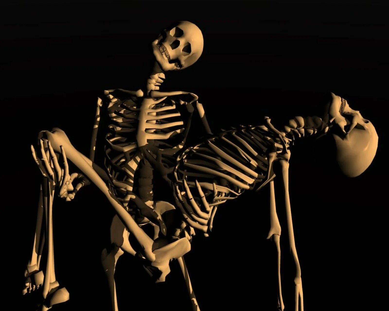 Люди скелеты живые. Скелет. Человеческий скелет. Скелет на черном фоне.