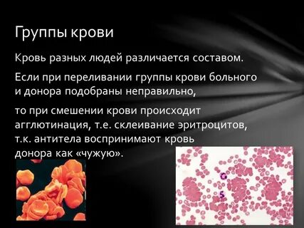 Гемотрансфузия эритроцитов