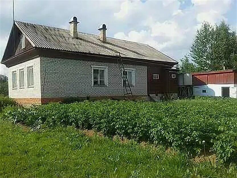 Авито шарья. Недвижимость в шарье. Авито шарья квартиры ветлужский. Авито шарья недвижимость. Авито шарья квартиры ветлужский.