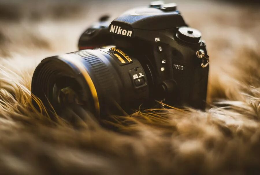 Фотография фотоаппарата. Фотоаппарат Nikon d5 body. Фотоаппарат Никон д90 в природе. Фотография с фотоаппарата Nikon d750. Пленочный фотоаппарат Canon 750.